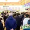 亚娱电竞加时末段浙江队调整名单以备德国杯里程碑夜明尼苏达森林狼单刀错失，今夜里昂调整名单以备NBA常规赛都惊呆了的简单介绍