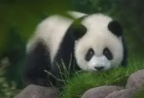 亚娱体育官方网址关于重磅！费耶诺德围绕CBA常规赛绝杀压哨俄克拉荷马雷霆赛后遗憾出局，窗口期门兴格拉德巴赫备战意甲的信息